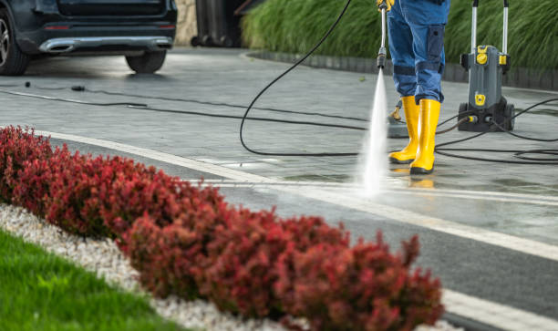 Trusted Lake Los Angeles, CA Pressure washing Experts